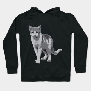 Grey room tiger Hoodie